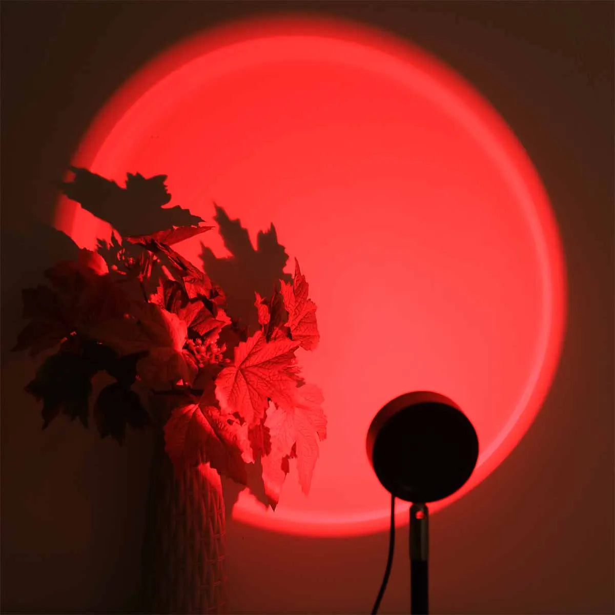 Transform Your Home Into a Tranquil Oasis
